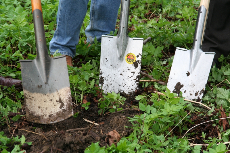 pepiniere-AIGUINES-min_work-lawn-flower-tool-green-backyard-1103633-pxhere.com